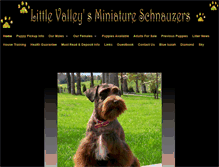 Tablet Screenshot of littlevalleyschnauzers.com